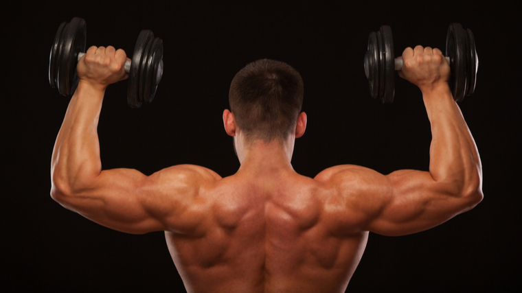 Back view of shirtless muscular man holding dumbbells at shoulder level